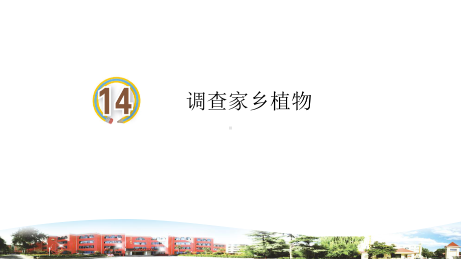 2021春青岛版科学四年级下册第14课调查家乡植物课件.ppt_第1页