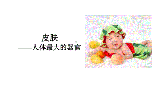 03岁婴幼儿皮肤特点及保育课件.pptx