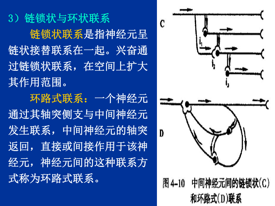 人体解剖生理学-第三章高级神经系统功能医学课件.ppt_第3页