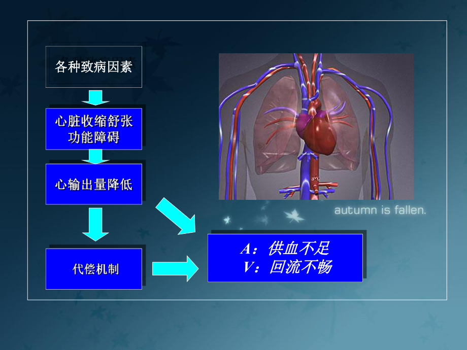 临床药理学：心衰的药物治疗课件.ppt_第3页