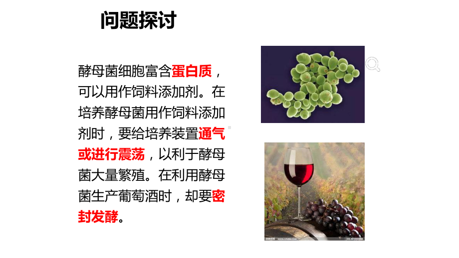 2021新教材高中生物必修一53细胞呼吸的原理和应用(选考生物用)课件.pptx_第3页