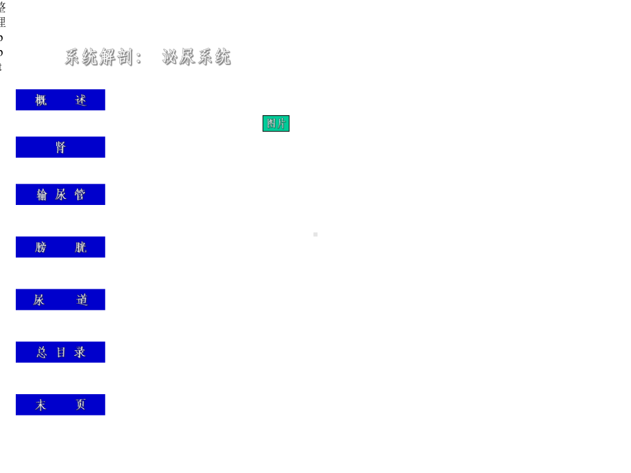 《泌尿系统概述》课件.ppt_第3页