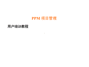 PPM项目管理培训指导手册精选课件.ppt