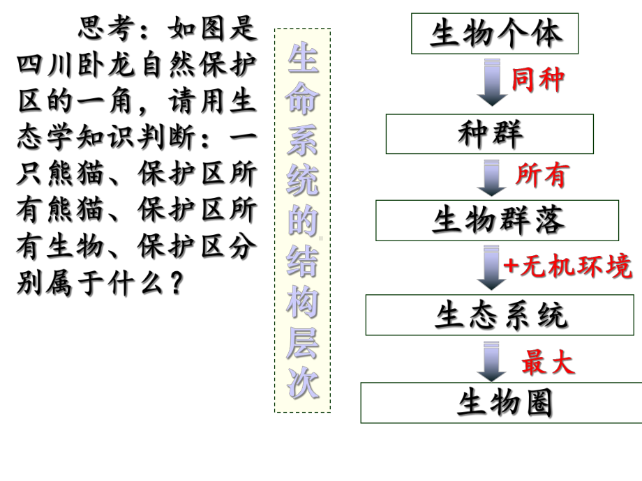 51生态系统的结构(思路1)课件.ppt_第3页