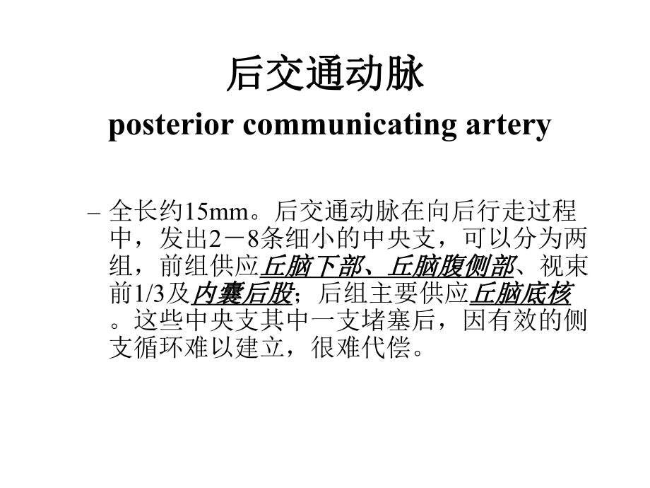 丘脑底节区脑血管解剖医学课件.ppt_第2页