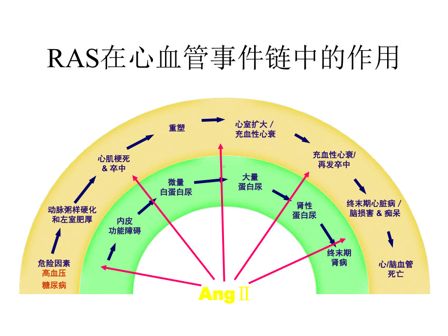 arb对降压及靶器官保护的应用探讨课件.pptx_第3页