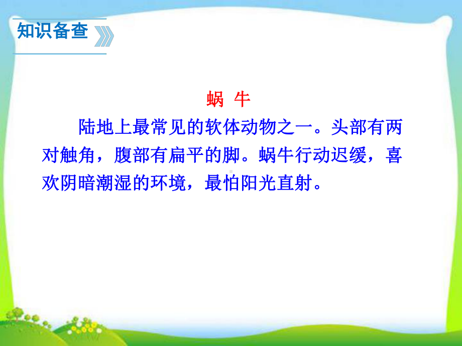 人教新版一年级语文上册14《小蜗牛》课件.pptx_第3页