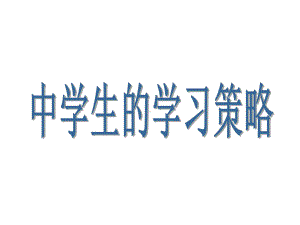 中学生的学习策略精选课件.ppt