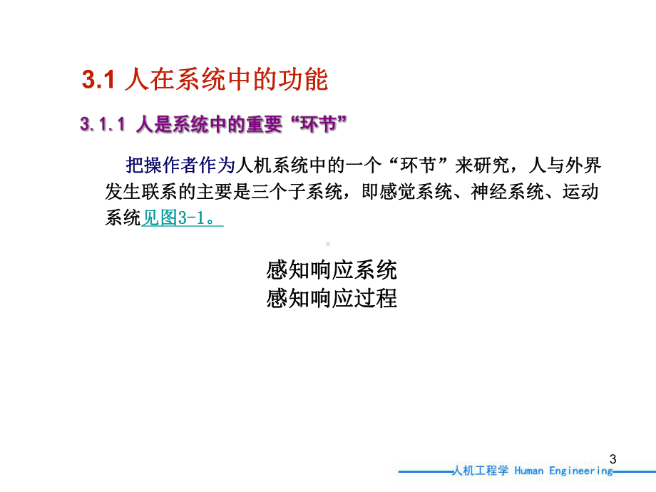 人体感知与运动特征课件.ppt_第3页