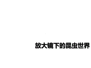 教科版六年级科学下册放大镜下的昆虫世界课件.ppt