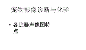 宠物诊疗技术各脏器声像图特点课件.ppt