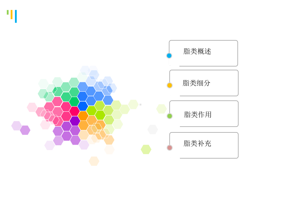 史上最全脂肪和健康课件.ppt_第2页