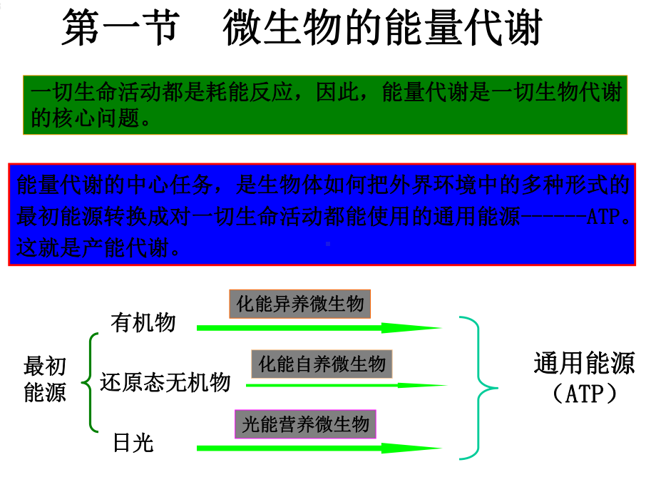 微生物学第五章微生物的新陈代谢课件.ppt_第3页