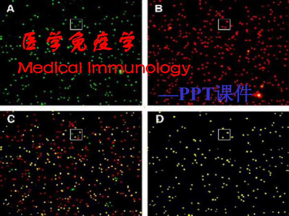 Ch07CD分子和粘附分子(阅读)课件.ppt_第1页