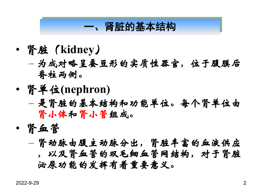 常用肾脏功能实验室检测课件.ppt_第2页