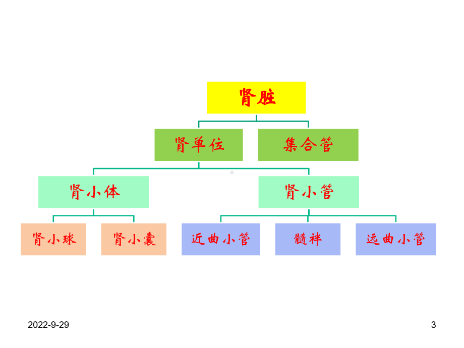 常用肾脏功能实验室检测课件.ppt_第3页