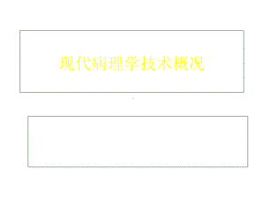 现代病理学技术概况课件.ppt