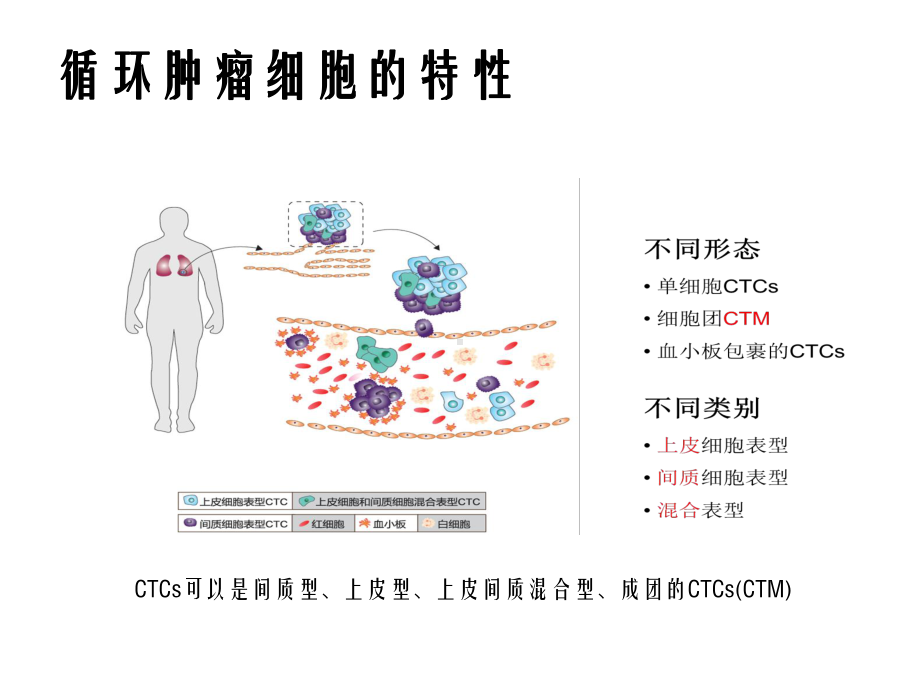 CTC循环肿瘤细胞幻灯片课件.pptx_第3页