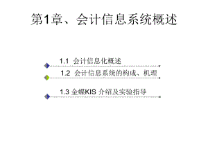 会计信息系统概述课件.ppt