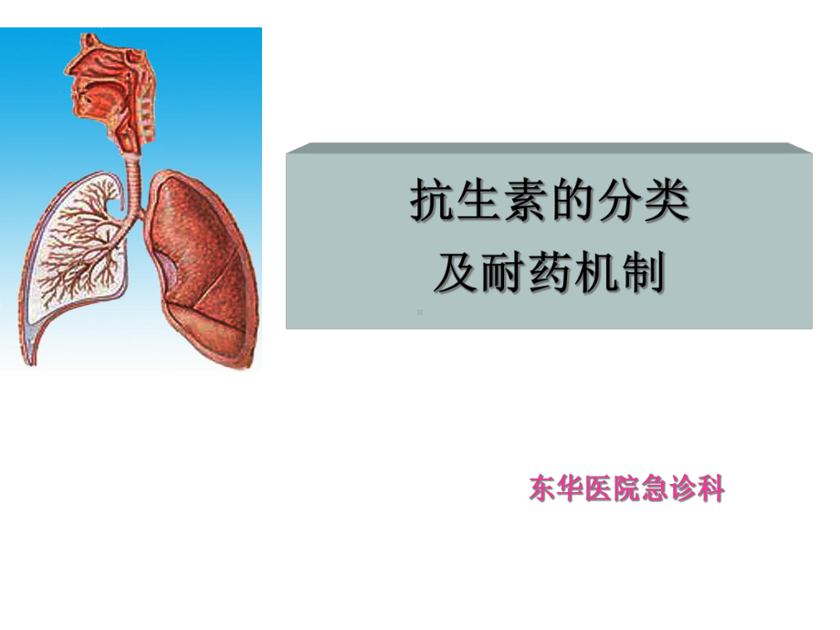 抗生素的分类及耐药机制精选课件.ppt_第1页