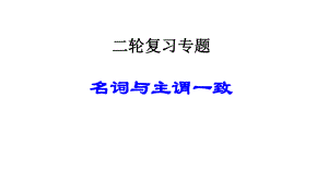 名词与主谓一致课件.pptx