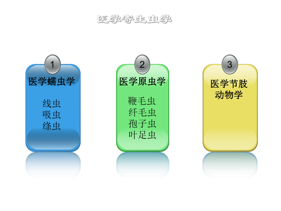 病原生物学与免疫学教研室课件.ppt_第3页