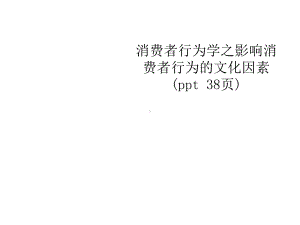 消费者行为学之影响消费者行为的文化因素(38张)课件.ppt