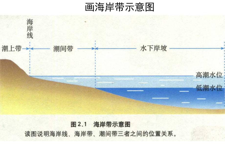 海岸带的开发正式版课件.ppt_第3页