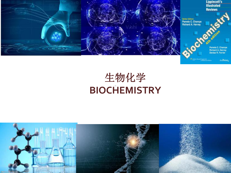 生物化学BIOCHEMISTRY专业英语Metabolism新陈代谢课件.ppt_第1页