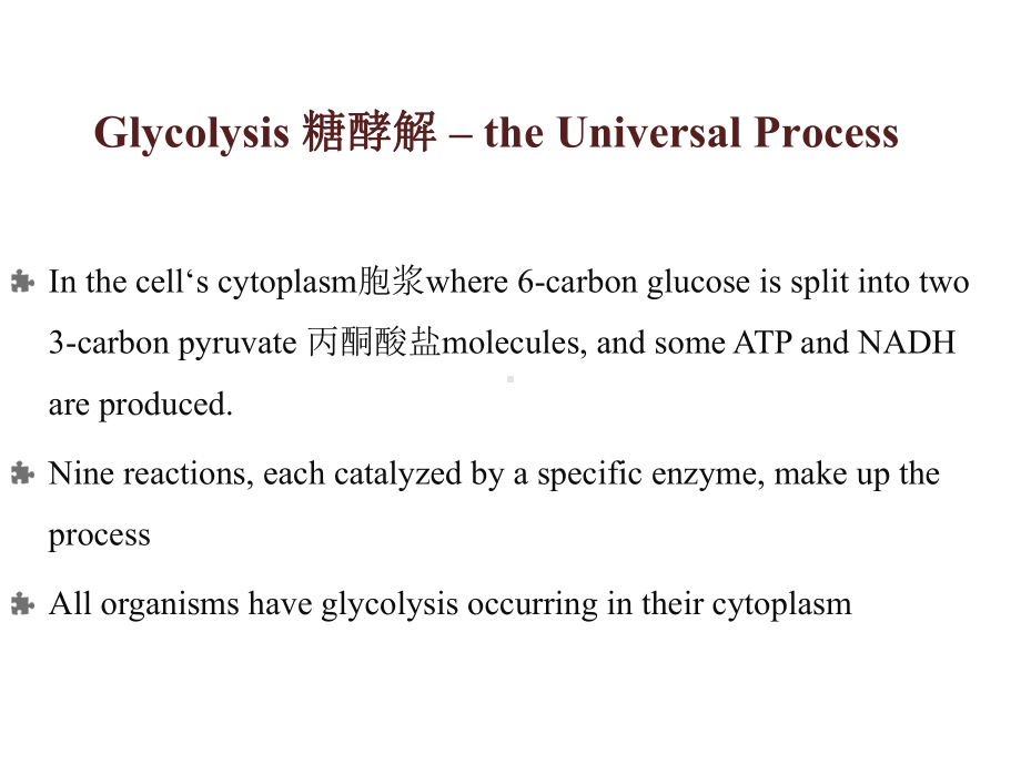 生物化学BIOCHEMISTRY专业英语Metabolism新陈代谢课件.ppt_第3页