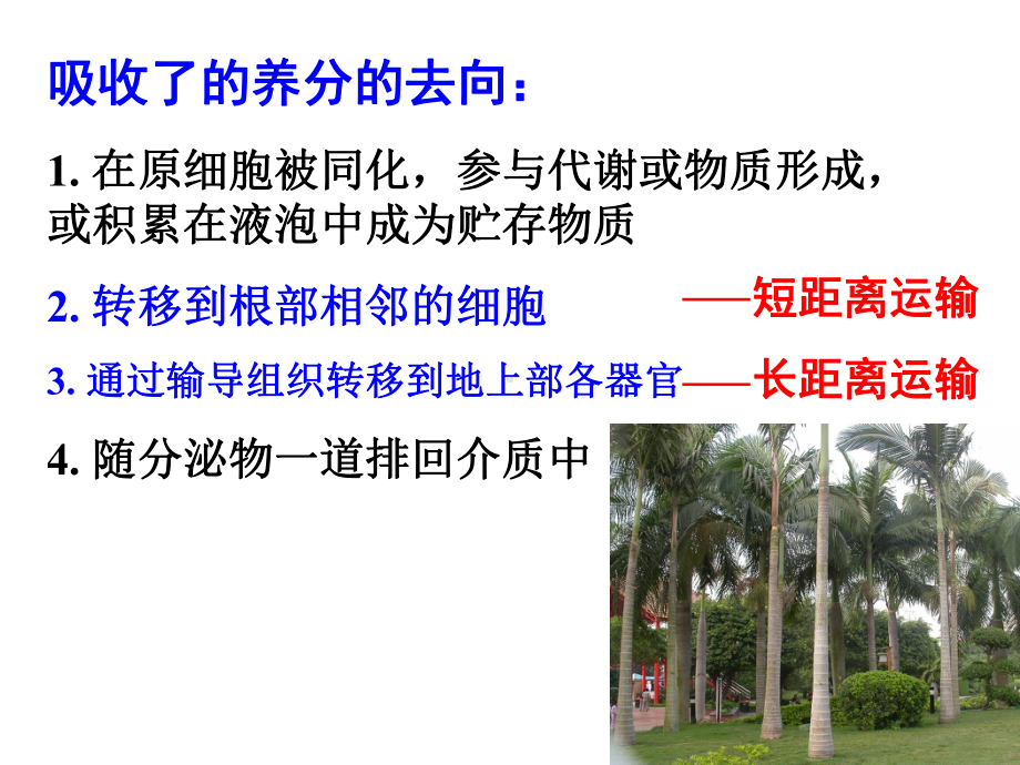 养分在植物体内的运输和分配课件.ppt_第3页