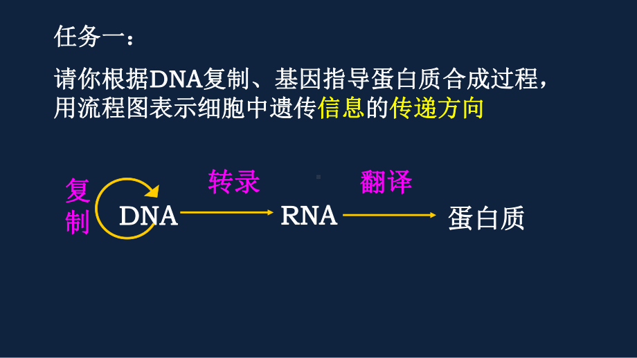 人教版必修二42基因对性状的控制(共36张)课件.pptx_第3页