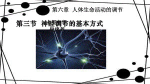 反射弧和反射课件.ppt