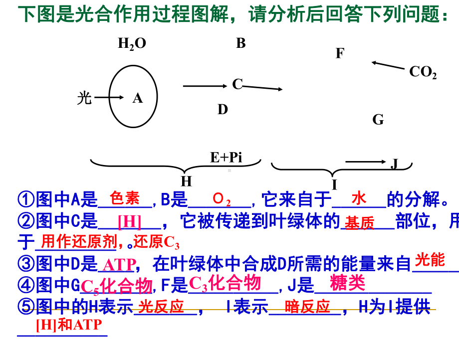 光合作用的原理和应用第课时课件.ppt_第2页