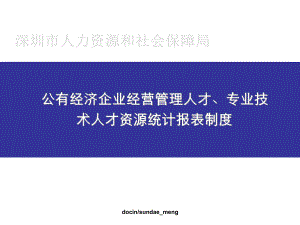 公有经济企业经营管理人才、专业技术人才资源统计报表制度课件.ppt