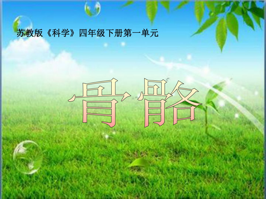 四年级下册科学骨骼苏教版课件.ppt_第1页