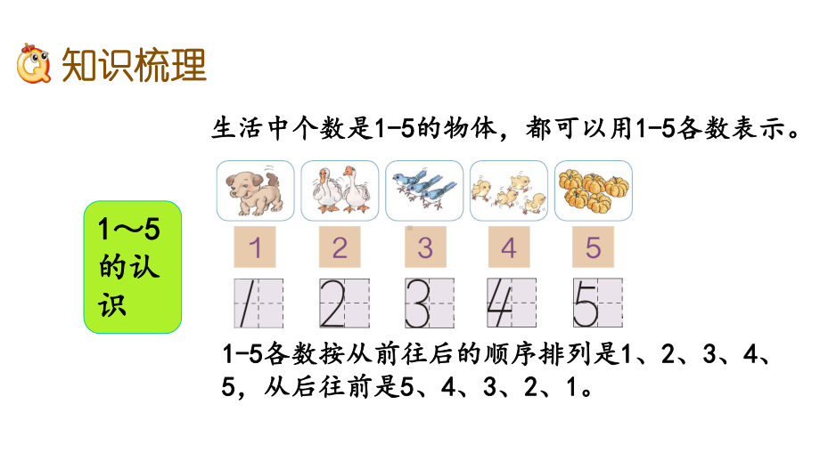 315整理和复习人教版数学一年级上册名师公开课课件.pptx_第3页