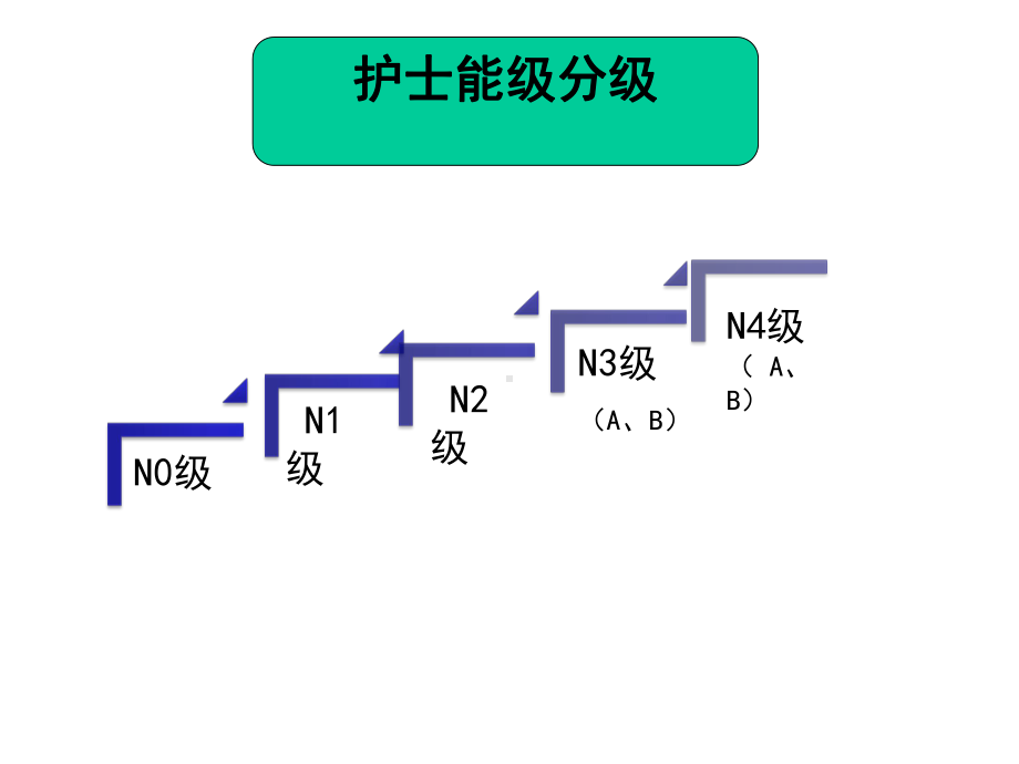 护士能级管理制度课件.ppt_第2页