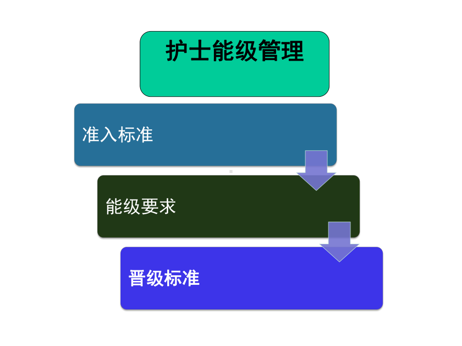 护士能级管理制度课件.ppt_第3页