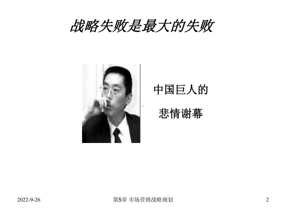 市场营销战略规划课件.ppt_第2页