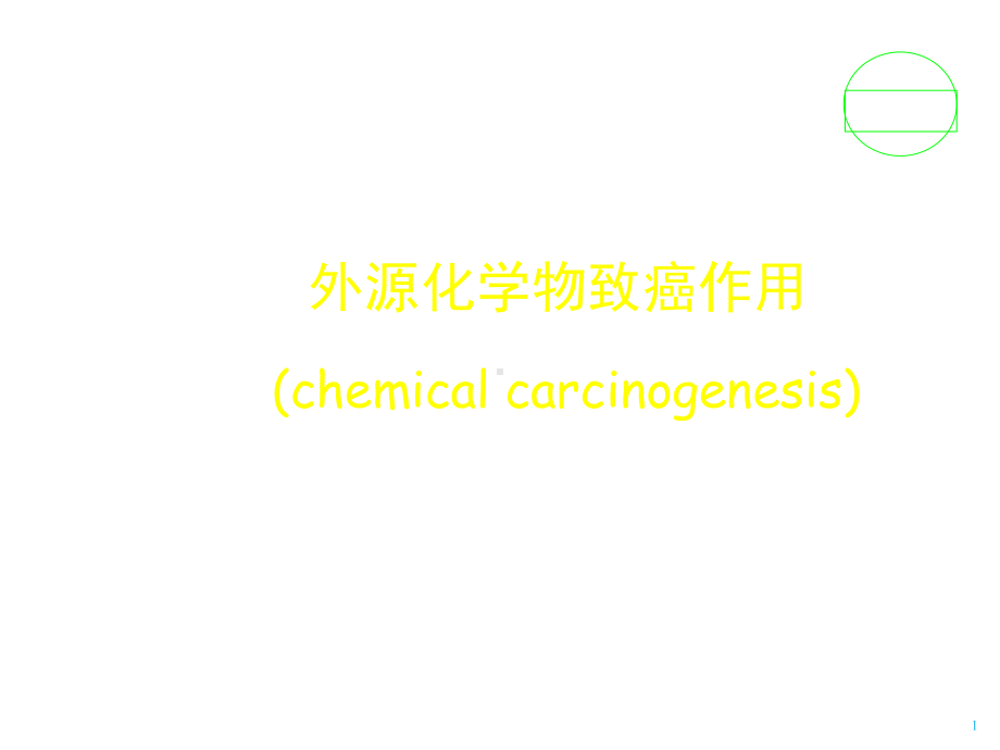 外源化学物致癌作用课件.ppt_第1页