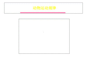 动画运动规律动物课件.ppt