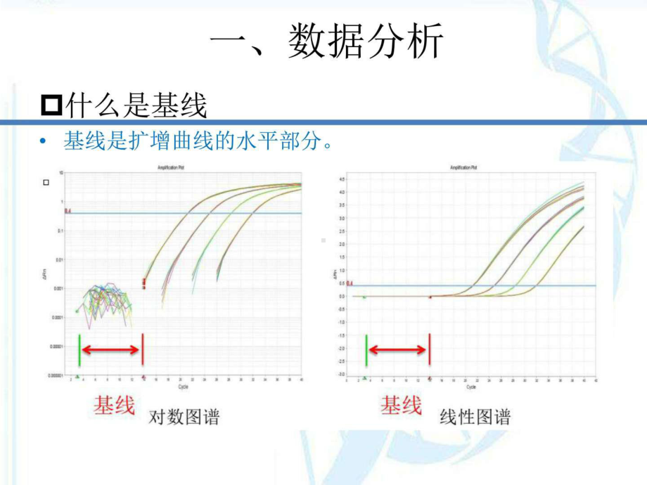 实时荧光定量PCR数据分析及常见问题分析课件.ppt_第3页