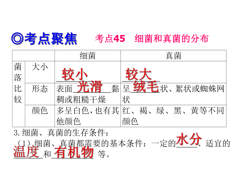 2020年尤溪五中生物总复习第一轮第20讲细菌真菌病毒课件.ppt_第3页