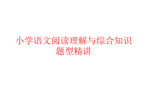 小学语文阅读理解和综合知识精讲精练21课件.pptx