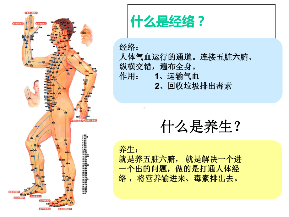 十二经络养生法课件.ppt_第3页