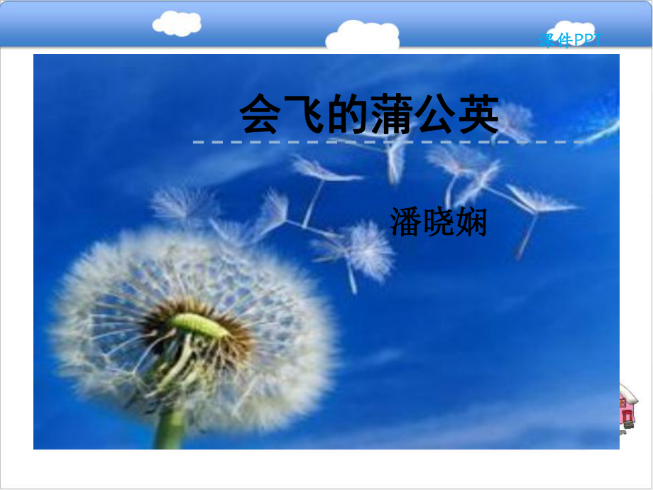 会飞的蒲公英课件.ppt_第1页