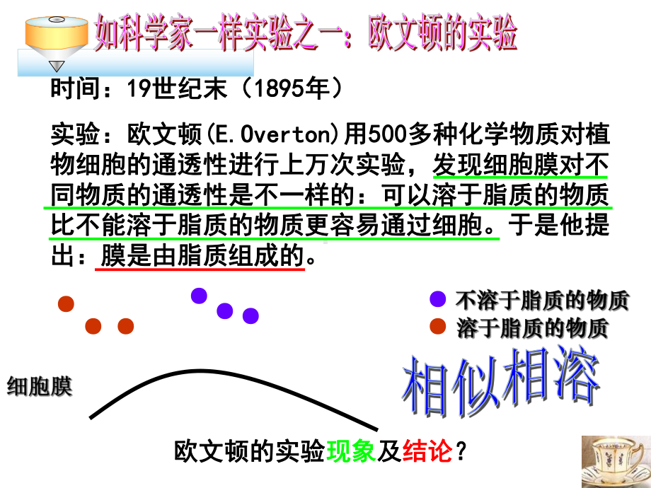 生物膜流动镶嵌模型课件.ppt_第3页