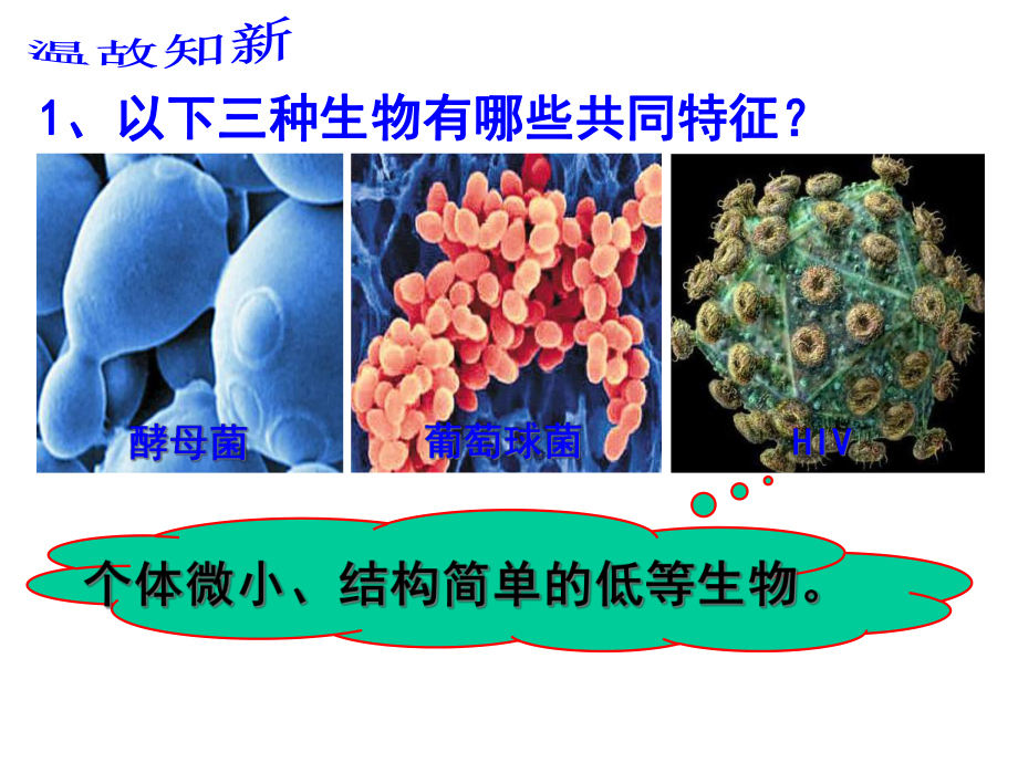 微生物与人类的关系(整一课时)课件.ppt_第2页