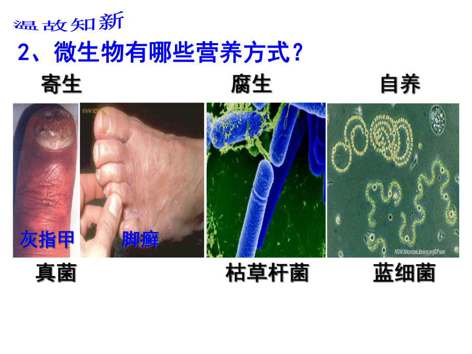 微生物与人类的关系(整一课时)课件.ppt_第3页